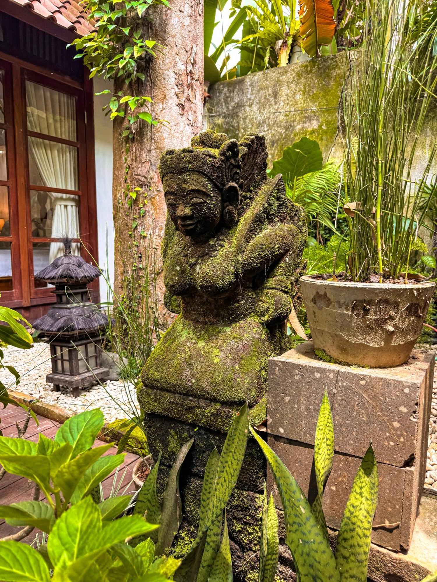 Bali Maison 우붓 외부 사진