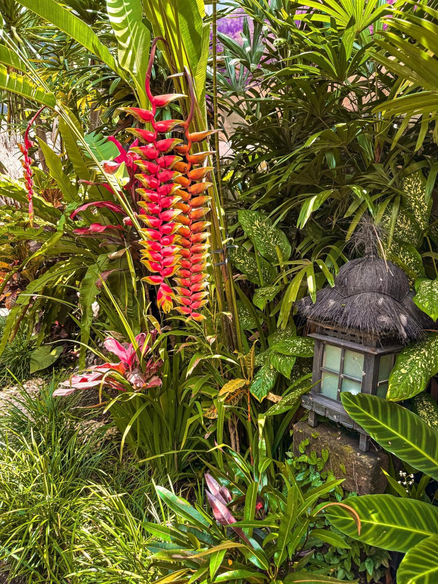 Bali Maison 우붓 외부 사진